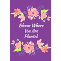 Bloom Where You Are Planted: Guided and Mindfulness Self-Care Prompted