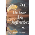 I Am Aware of My Angel Numbers