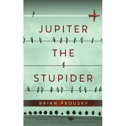 Jupiter the Stupider