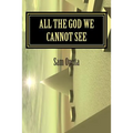 All The God We Cannot See: Why There Is God