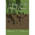 A Year In A Druid Grove: Celebrating the Seasonal Festivals on the Wheel of the Year