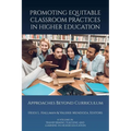 Promoting Equitable Classroom Practices in Higher Education: Approaches Beyond Curriculum