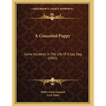 A Conceited Puppy: Some Incidents In The Life Of A Gay Dog (1905)