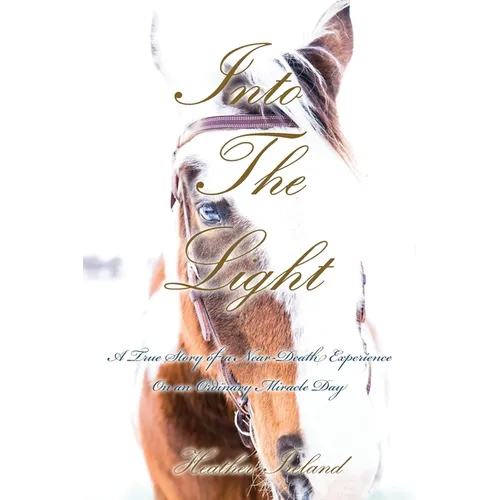Into The Light: A True Story of a Near-Death Experience on An Ordinary Miracle Day