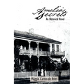 Amelia's Secrets: An Historical Novel