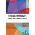 Curriculum Fragments: A Currere Journey through Life Processes