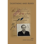 Lightning and Ashes