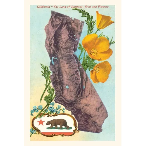 "The Vintage Journal California Map with Bear and Poppies