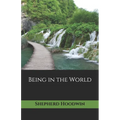 Being in the World