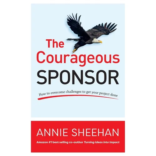 The Courageous Sponsor: How to overcome challenges to get your project done