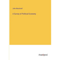 A Survey of Political Economy