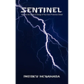 Sentinel: Become the Agent in Charge of Your Own Protection Detail