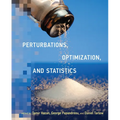 Perturbations, Optimization, and Statistics