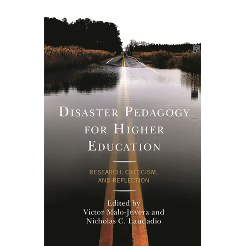 Disaster Pedagogy for Higher Education: Research, Criticism, and Reflection