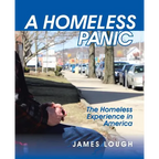 A Homeless Panic: The Homeless Experience in America - Paperback
