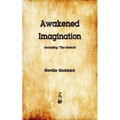 Awakened Imagination