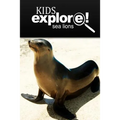 Sea Lion - Kids Explore: Animal books nonfiction - books ages 5-6