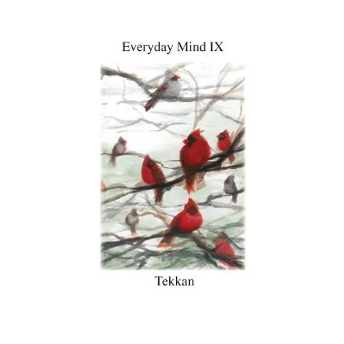 Everyday Mind IX
