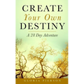 Create Your Own Destiny: A 28 Day Adventure