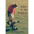 Letters to My Grandson: Gaining Wisdom from a Fresh Perspectives