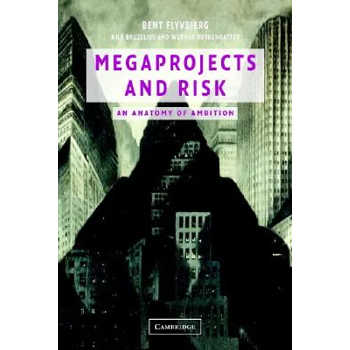 Megaprojects and Risk