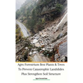 Agro Forestrium Best Plants & Trees To Prevent Catastrophic Landslides Plus Strengthen Soil Structure