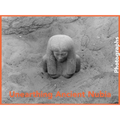 Unearthing Ancient Nubia: Photographs from the Harvard University-Boston Museum of Fine Arts Expedition