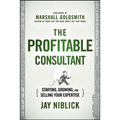 Profitable Consultant