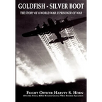 Goldfish Silver Boot - The Story of a World War II Prisoner of War - Paperback