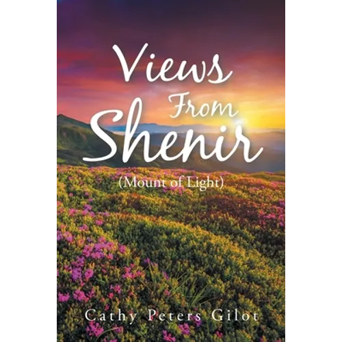 Views From Shenir (Mount of Light)