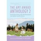 The Amy Award Anthology 2