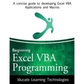 Beginning Excel VBA Programming: A concise guide to developing Excel VBA Applications and Macros