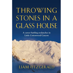 Throwing Stones in a Glass House: A career battling avalanches in Little Cottonwood Canyon - Paperback