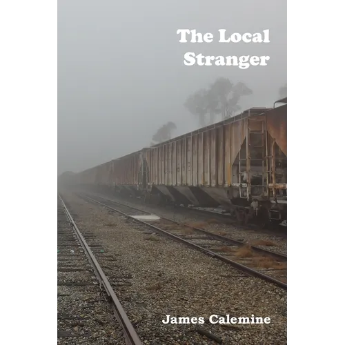 The Local Stranger: Short Stories