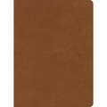 CSB He Reads Truth Bible, Saddle Leathertouch, Indexed