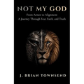 Not My God: From Armor to Alignment - One Man's Journey Through Fear, Faith, and Truth