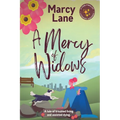 A Mercy of Widows