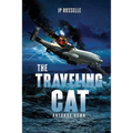 The Traveling Cat: Antonov Down