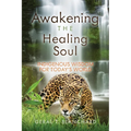 Awakening the Healing Soul: Indigenous Wisdom for Today's World